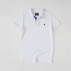 Abercrombie & Fitch Men's Polo 67