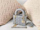 DIOR Original Quality Handbags 1076