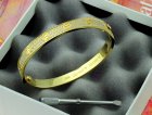 Cartier Jewelry Bracelets 454