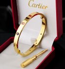 Cartier Jewelry Bracelets 463