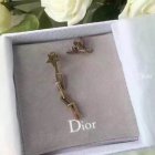 Dior Jewelry Earrings 291