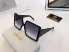 Versace High Quality Sunglasses 1195