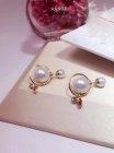 Dior Jewelry Earrings 289