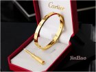 Cartier Jewelry Bracelets 253