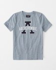 Abercrombie & Fitch Men's T-shirts 443