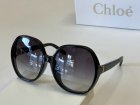 Chloe High Quality Sunglasses 154