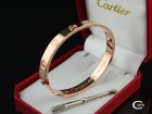 Cartier Jewelry Bracelets 154