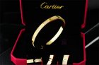 Cartier Jewelry Bracelets 436