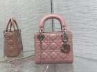 DIOR Original Quality Handbags 1025