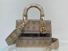 DIOR Original Quality Handbags 895