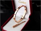 Cartier Jewelry Bracelets 162