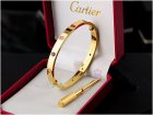 Cartier Jewelry Bracelets 381