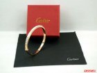 Cartier Jewelry Bracelets 496