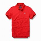 Abercrombie & Fitch Men's Polo 253