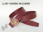 Versace High Quality Belts 76