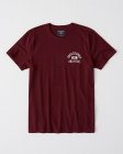 Abercrombie & Fitch Men's T-shirts 313