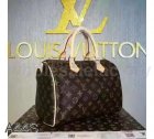 Louis Vuitton High Quality Handbags 4148