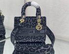 DIOR Original Quality Handbags 458