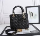 DIOR Original Quality Handbags 989