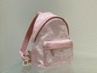 DIOR Original Quality Handbags 1219