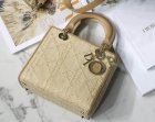 DIOR Original Quality Handbags 1087