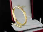 Cartier Jewelry Bracelets 231