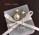 Dior Jewelry Earrings 295