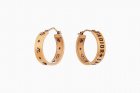 Dior Jewelry Earrings 316