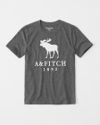 Abercrombie & Fitch Men's T-shirts 471
