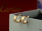 Cartier Jewelry Earrings 22