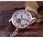 Cartier Watches 15