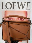 Loewe Original Quality Handbags 169