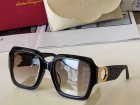 Salvatore Ferragamo High Quality Sunglasses 531