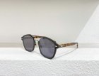 DIOR High Quality Sunglasses 489