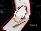 Cartier Jewelry Bracelets 251