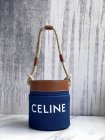 CELINE High Quality Handbags 303