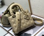 DIOR Original Quality Handbags 823