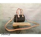 Louis Vuitton High Quality Handbags 4142