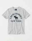 Abercrombie & Fitch Men's T-shirts 467