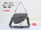 DIOR Normal Quality Handbags 172