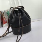 Loewe High Quality Handbags 72