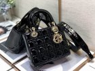 DIOR Original Quality Handbags 827