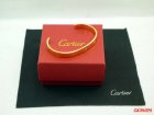 Cartier Jewelry Bracelets 495