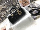 DIOR Original Quality Handbags 1036