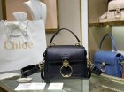Chloe Original Quality Handbags 111