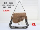 DIOR Normal Quality Handbags 175