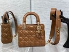 DIOR Original Quality Handbags 1028