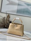 Louis Vuitton Original Quality Handbags 2259