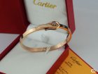 Cartier Jewelry Bracelets 433