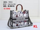 DIOR Normal Quality Handbags 181